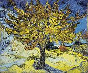 Vincent Van Gogh Mulberry Tree oil on canvas